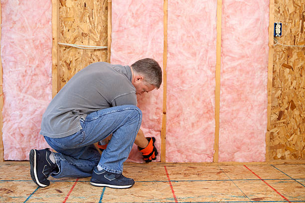 Best Soundproof Insulation  in Raven, VA